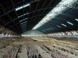 Xi'an Terracotta Warriors Bus Day Tour