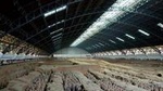 Xi'an Terracotta Warriors Bus Day Tour