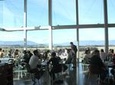 Yarra Valley Wine & Food Day Tour from Melbourne with lunch at Yering Station