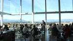 Yarra Valley Wine & Food Day Tour from Melbourne with lunch at Yering Station
