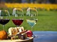 Yarra Valley Gourmet Small-Group Ecotour from Melbourne