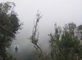 Zipline and Hanging Bridges Combo Tour in Monteverde Cloud Forest
