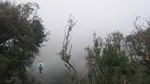 Zipline and Hanging Bridges Combo Tour in Monteverde Cloud Forest