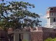 Blue Mountains, Port Royal and Kingston 2-Day Tour from Runaway Bay