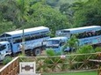 Half-Day Safari Tour from Punta Cana