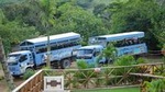 Half-Day Safari Tour from Punta Cana