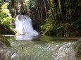 Private Fern Gully, Blue Hole and Bamboo Blu Beach Experience from Ocho Rios