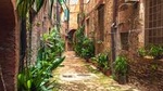 Private Tour: Secret Siena Walking Tour
