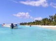 Saona Island Full-Day Tour from Punta Cana