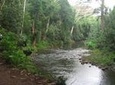Wailua River and Secret Falls Kayak and Hiking Tour