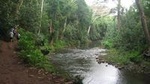 Wailua River and Secret Falls Kayak and Hiking Tour