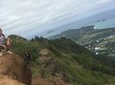 Oahu Highlights, Turtles & North Shore - Small Group Circle Island Tour 