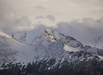 Summit Ypsilon Mountain, Rocky Mountain National Park, Colorado