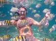 4-Hour Private 42' Sea Ray Yacht Tour w/ Food, Open Bar & Snorkeling