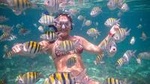 4-Hour Private 42' Sea Ray Yacht Tour w/ Food, Open Bar & Snorkeling