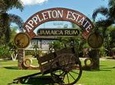 Appleton Estate Rum Tour and Tasting from Negril