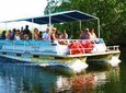 Black River Safari and YS Falls Tour from Negril