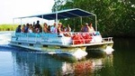 Black River Safari and YS Falls Tour from Negril