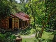 Full-day Discover Da Nang Museum, Marble Mountain, Son Tra Peninsula