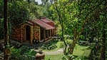 Full-day Discover Da Nang Museum, Marble Mountain, Son Tra Peninsula