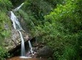 Yungas Half-Day Tour from Tucuman