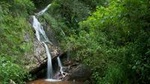 Yungas Half-Day Tour from Tucuman