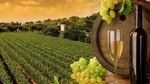 Chianti Vineyards Tours in Private Luxury Van from Florence