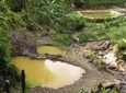 Dominica Half-Day Tour: Mero Beach, Waterfalls, Mineral bath Wotten Waven 