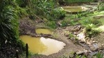 Dominica Half-Day Tour: Mero Beach, Waterfalls, Mineral bath Wotten Waven 