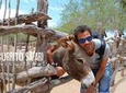 Hiking Tour in the Baja Peninsula with a Donkey