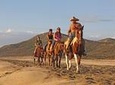 Pacific Horseback Riding Tour in Cabo San Lucas