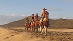 Pacific Horseback Riding Tour in Cabo San Lucas