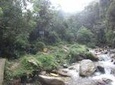 Private Tour: La Miel Magnificent Natural Reserve Hike