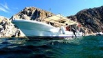 Private Tour: Sightseeing Cruise in Cabo San Lucas