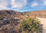 Explore Big Morongo Canyon Preserve, Desert Hot Springs, California