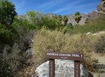 Hike Andreas Canyon Trail, Palm Springs, California