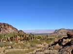 Hike Maynard Mine Trail, Palm Springs, California