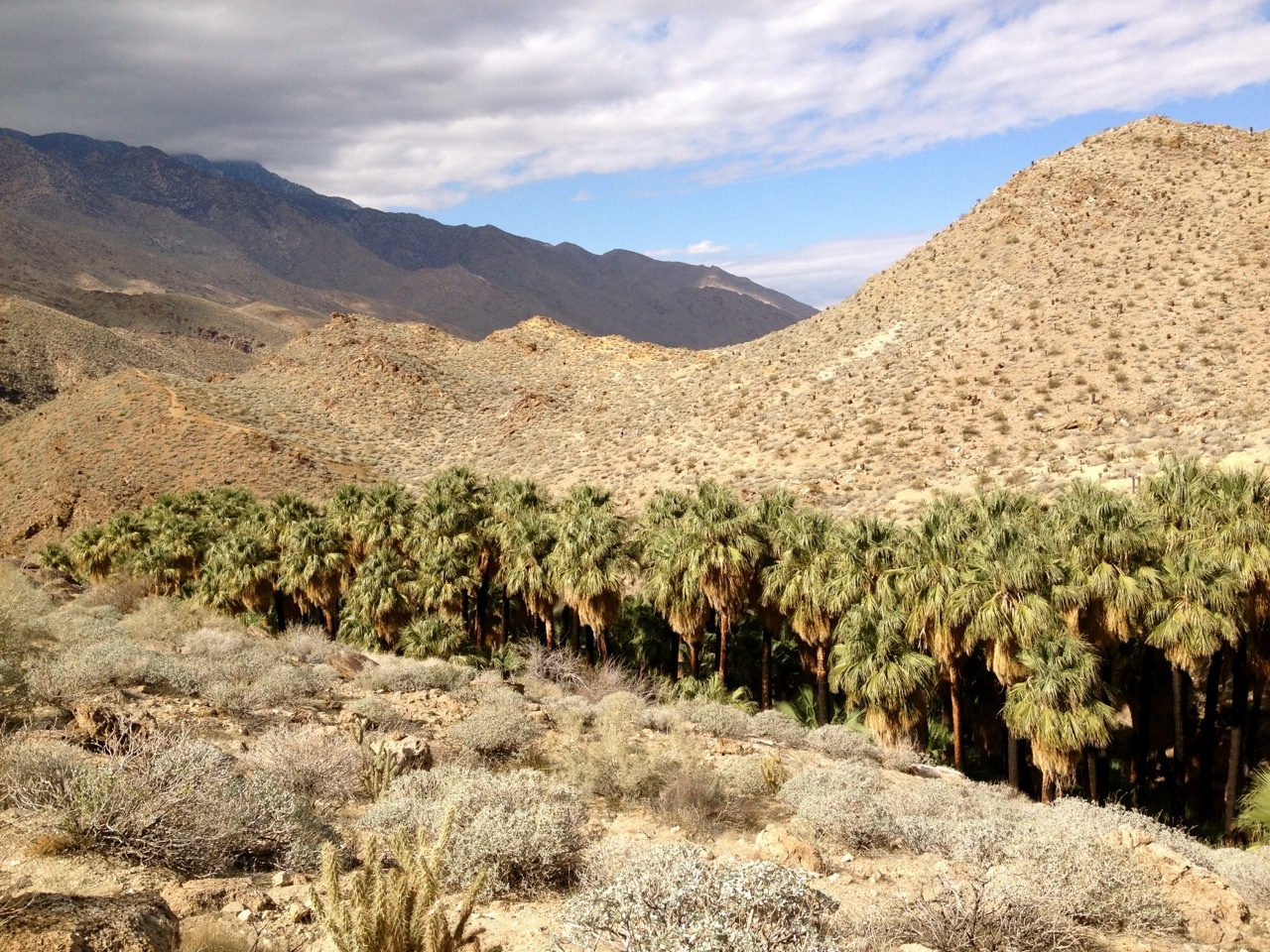 Where to Put Your Hiking Shoes on in Greater Palm Springs