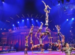 Attend International Circus Festival of Monte-Carlo, Monaco