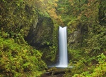 See Weisendanger Falls, Oregon