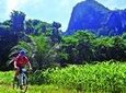 3-in-1 Ultimate Borneo Expedition Adventure