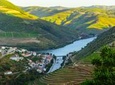 Day Trip to Douro