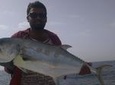 Dubai Deep Sea Fishing Trip