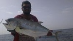 Dubai Deep Sea Fishing Trip