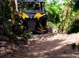 Off-Road Experience in Cancun Aboard a 4x4