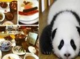 Private Day Tour: Panda Base and Museum of Sichuan Cuisine with Cooking Lesson