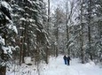 Quebec Ski-Shoeing Excursion