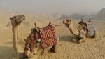 Sunset Camel or Horse Ride by the Giza Pyramids