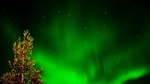 Northern Lights Hunt from Rovaniemi with Folk Tales and Snacks over Campfire