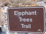 Hike Elephant Trees Trail, Anza-Borrego Desert State Park, California